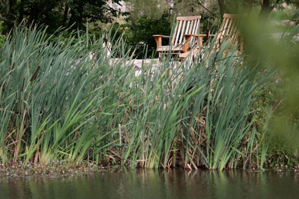 Hotel Gutshaus Parin - Bio- Und Gesundheitshotel Moor-Rolofshagen Kültér fotó